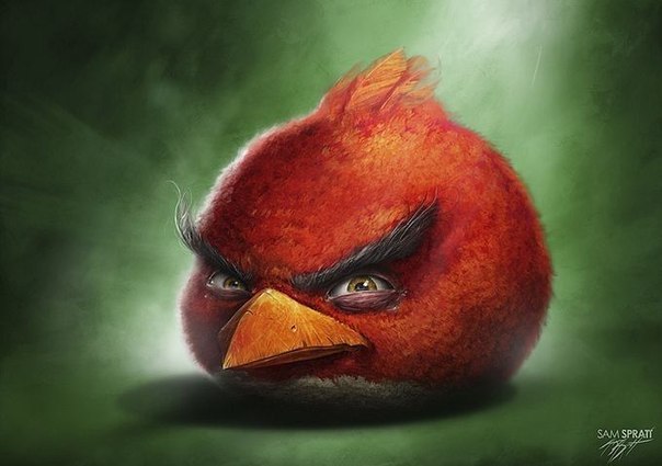 Взгляд на персонажей игры Angry Birds от художника Люка Планкетта