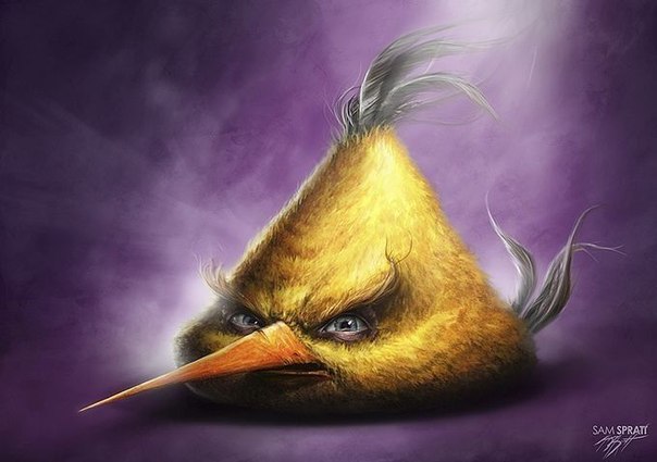 Взгляд на персонажей игры Angry Birds от художника Люка Планкетта